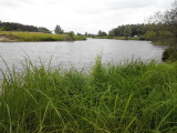 Озеро для рыбалки
